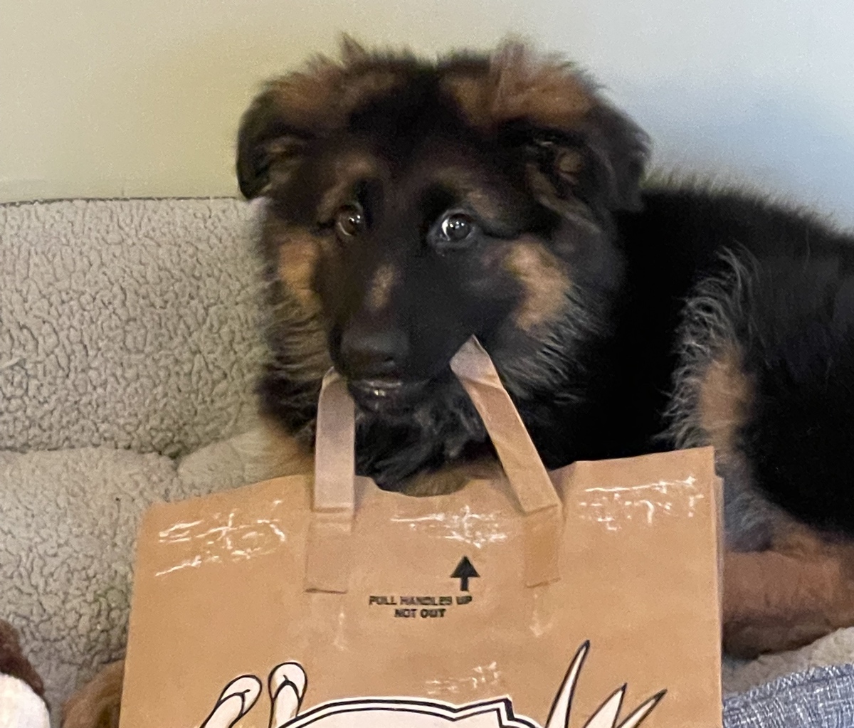 zuko_bag